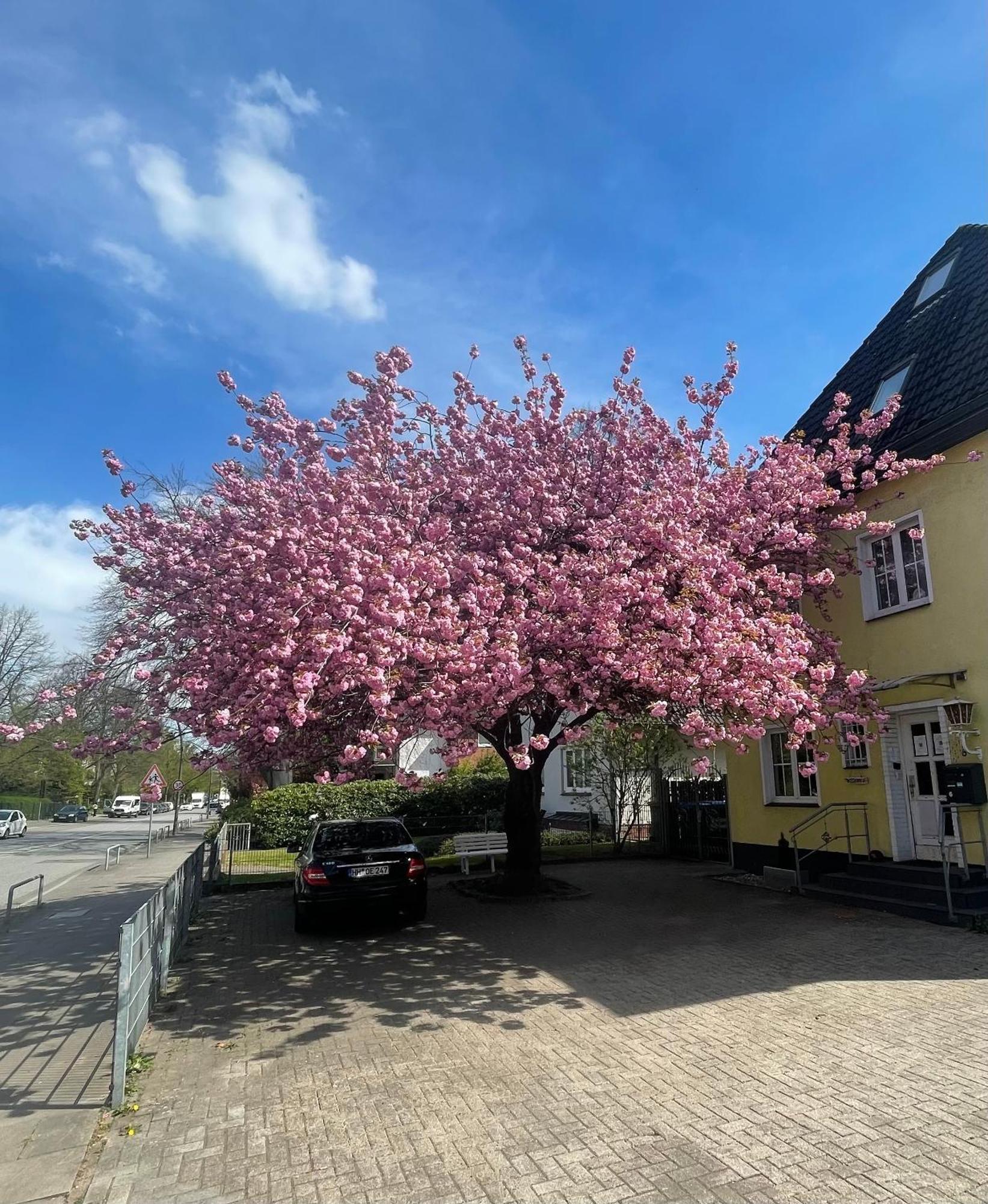 Hotel Villa Wandsbek Hamburgo Exterior foto